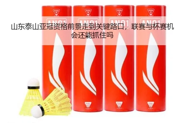 山东泰山亚冠资格前景走到关键路口，联赛与杯赛机会还能抓住吗
